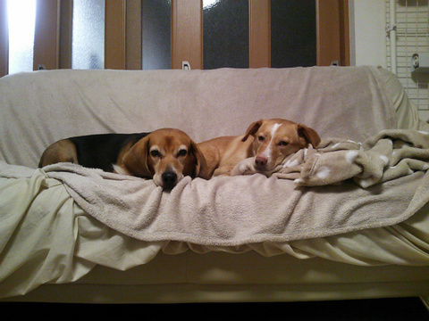 20131119-01.jpg