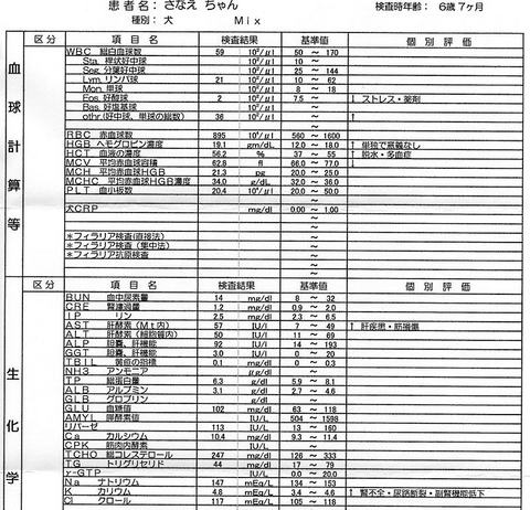 20131119-sanae.jpg